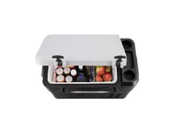 Mestic Koelbox Compressor Mcca-42 Ac-dc 7 Mestic Koelbox Compressor Mcca-42 Ac-dc -Outdoor Opties 42 2 mestic koelbox compressor mcca 42 ac dc 1503600